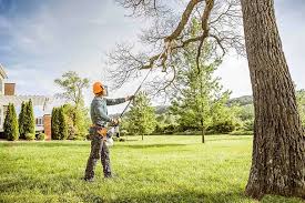  Penryn, CA Tree Services Pros